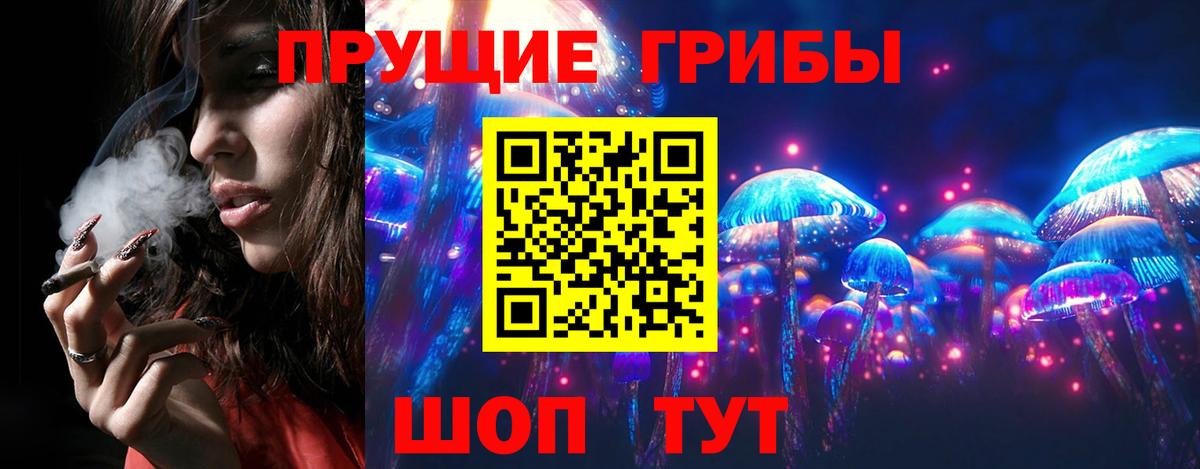 Крымск  Псилоцибиновые грибы Psilocybine cubensis  Вход с VPN 