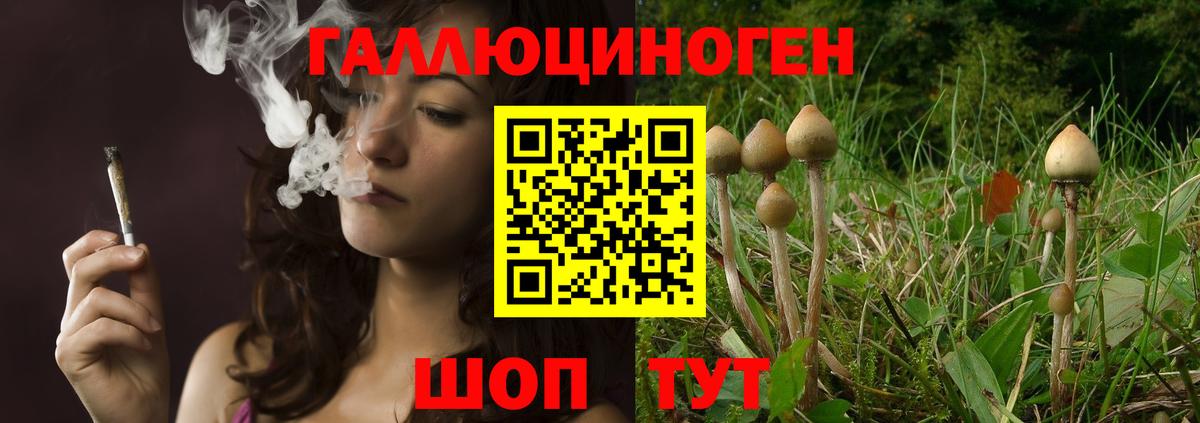 Галлюциногенные грибы прущие грибы Крымск